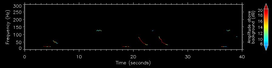 plot_autodetection503